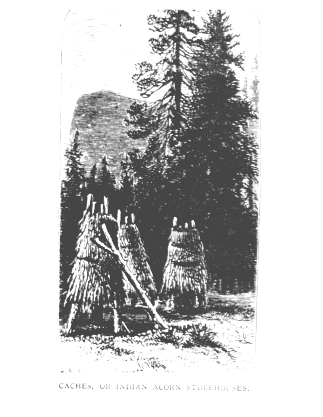 Discovery of the Yosemite in 1851--and the Indian war which led to that event.vist0021f